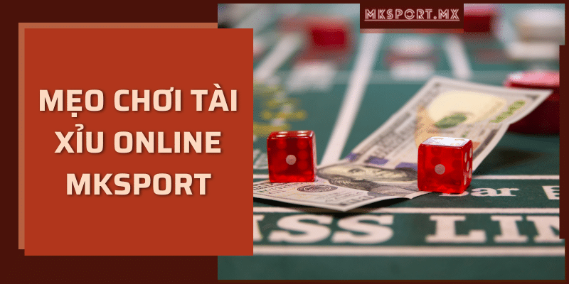 Mẹo chơi tài xỉu online mksport