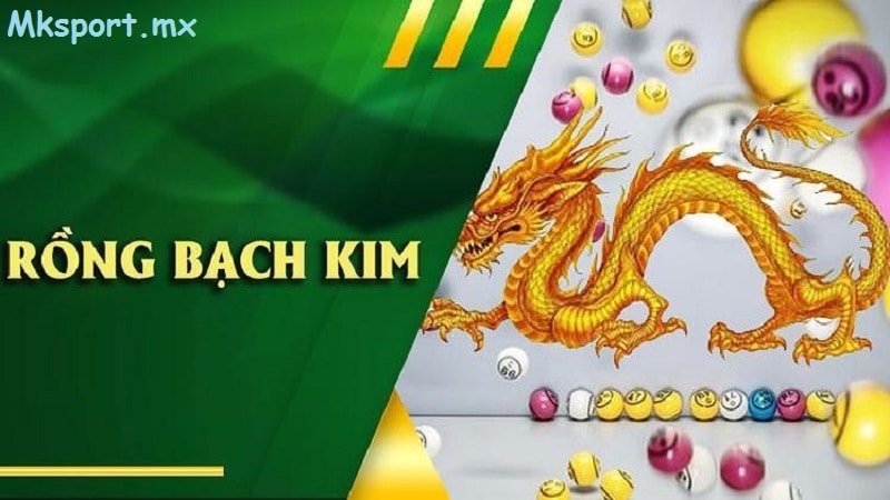 Lý do nên soi cầu rồng bạch kim tại mksport